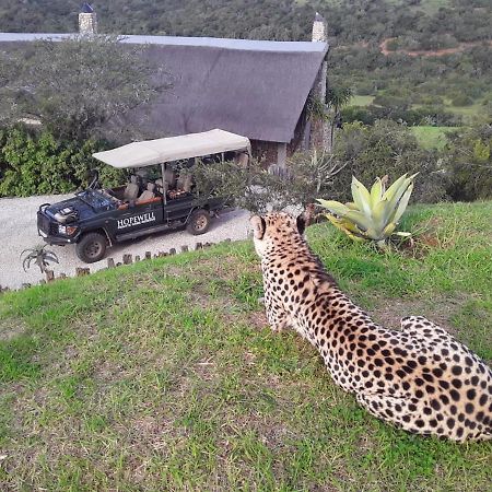 Hopewell Private Game Reserve Buyskloof Exterior foto