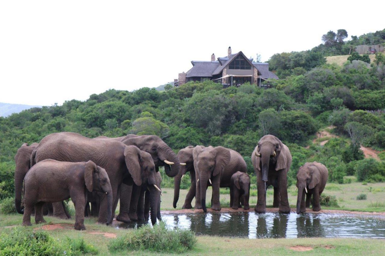 Hopewell Private Game Reserve Buyskloof Exterior foto